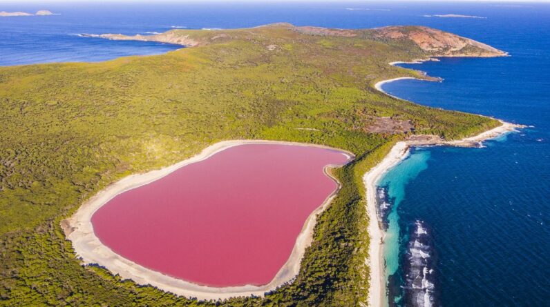 Australia’s pink lakes: The remnants of ancient rivers now teeming with microbes that make rosy pigments
