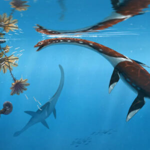 Paleontologists Unveil New Species of Plesiosaur