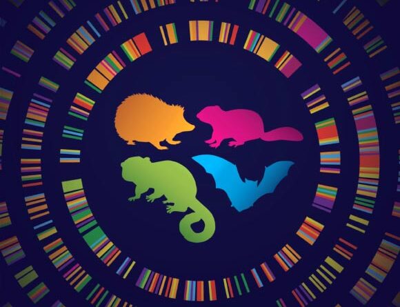 Superpowers of Hibernating Animals Could Lie Hidden in Human DNA