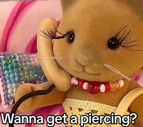 Toymaker suddenly drops lawsuit against “Sylvanian Drama” TikToker