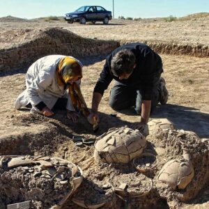 3,000-year-old burial of elite teen unearthed in Iran, with gold jewelry and astonishing ‘scorpion’ cosmetics box