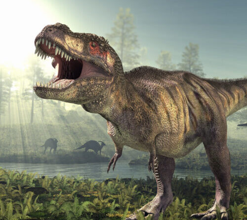 For giant carnivorous dinosaurs, big size didn’t mean a big bite