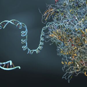 IBM and Moderna have simulated the longest mRNA pattern without AI — they used a quantum computer instead