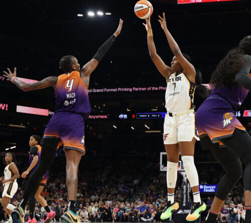 Green dildos are raining down on WNBA courts. Why? Crypto memecoins, of course.