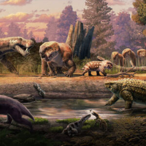 New Fossils from Tanzania and Zambia Shed Light on End-Permian Mass Extinction