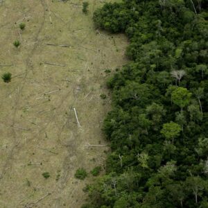 Amazon rainforest is approaching ‘tipping points’ that could transform it into a drier savanna