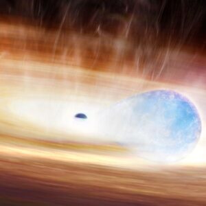 Spotify-like AI helps discover never-before-seen supernova as greedy star attempts to eat a black hole