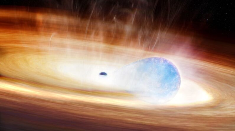 Spotify-like AI helps discover never-before-seen supernova as greedy star attempts to eat a black hole