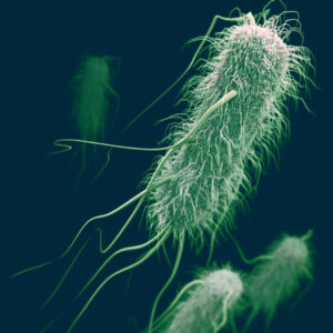Caffeine Can Reduce Effectiveness of Certain Antibiotics, New Research Suggests