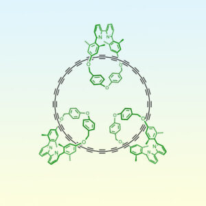 Chemists Synthesize New Carbon Allotrope