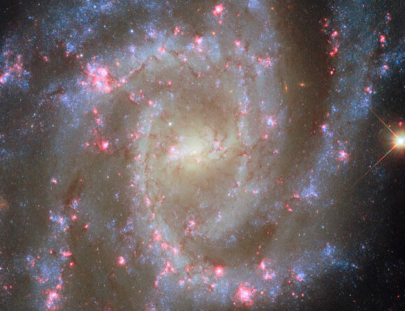 Hubble Space Telescope Captures New Image of NGC 2835