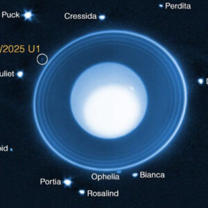 Webb Discovers New Moon around Uranus