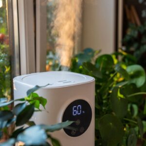 How to choose a humidifier โ Here’s our knowledge from years of testing