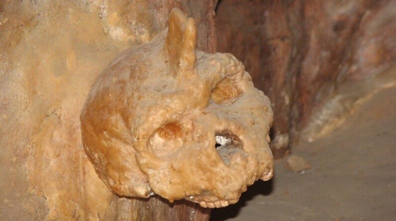 Mysterious 300,000-year-old Greek cave skull was neither human nor Neanderthal, study finds