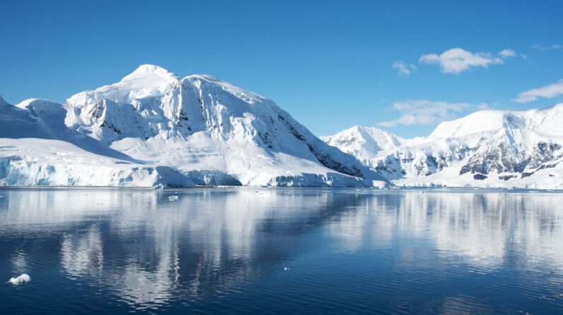 Abrupt changes taking place in Antarctica ‘will affect the world for generations to come’
