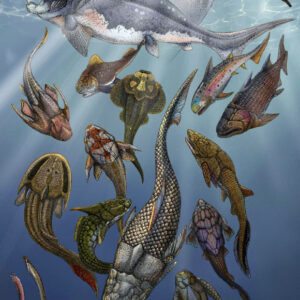 Ocean Oxygenation during Mid-Devonian Enabled Expansion of Animals into Deeper-Water Habitats