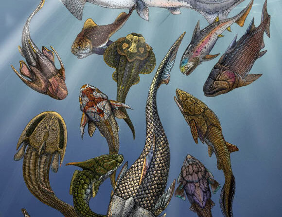 Ocean Oxygenation during Mid-Devonian Enabled Expansion of Animals into Deeper-Water Habitats