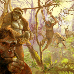New Research Reveals How Reshaping Pelvis Helped Human Ancestors Walk Upright