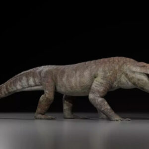 70-Million-Year-Old Fossils of Crocodile-Like Apex Predator Unearthed in Argentina
