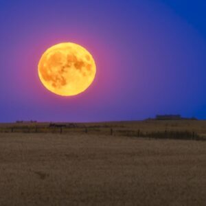 The full ‘Corn Moon’ rises this week — bringing a ‘blood moon’ lunar eclipse to most of the world