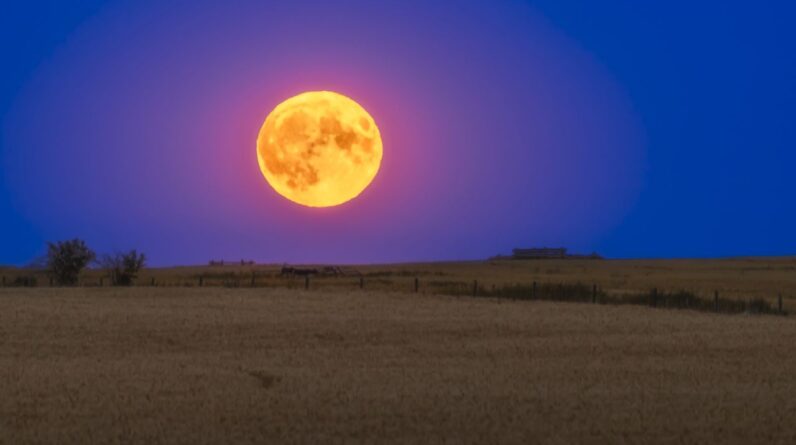 The full ‘Corn Moon’ rises this week — bringing a ‘blood moon’ lunar eclipse to most of the world