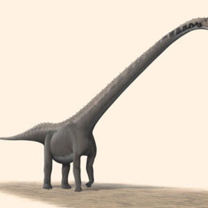 New Plant-Eating Dinosaur Species Unveiled