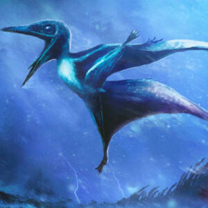 Two Extraordinary Fossils of Immature Pterosaurs Killed by Catastrophic Storm Found in Germany