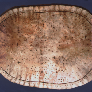 Pawnee Star Chart: A precontact elk-skin map used by Indigenous priests to tell an origin story