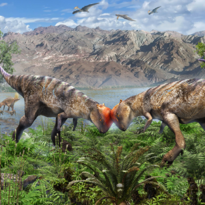 Oldest-known dome-headed dinosaur discovered sticking out of a cliff in Mongolia’s Gobi Desert