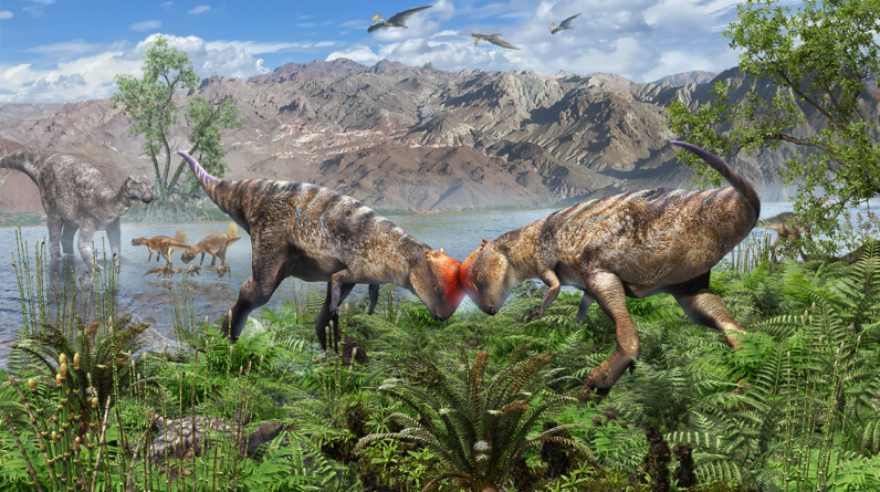 Oldest-known dome-headed dinosaur discovered sticking out of a cliff in Mongolia’s Gobi Desert