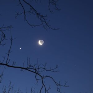 How to see the moon, Venus and the bright star Regulus in an ultraclose conjunction tomorrow