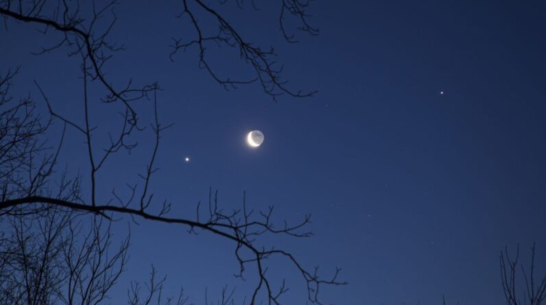 How to see the moon, Venus and the bright star Regulus in an ultraclose conjunction tomorrow