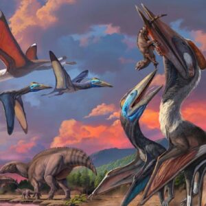 Two New Species of Pterosaurs Discovered in Mongolia