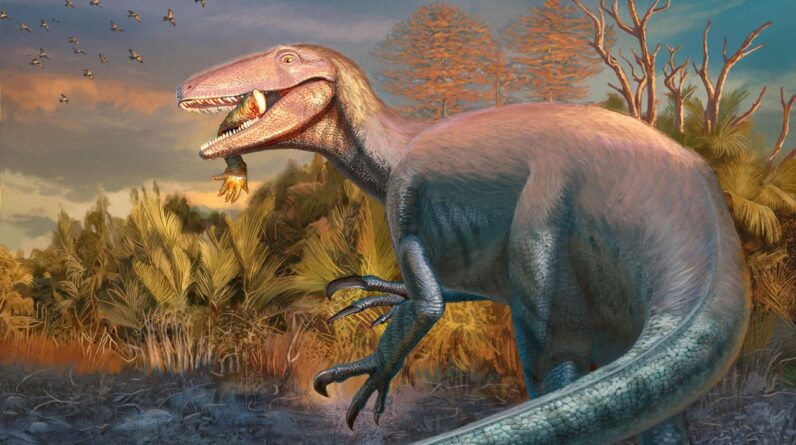 Gigantic dinosaur with ‘claws like hedge trimmers’ found with croc leg still in its jaws in Argentina