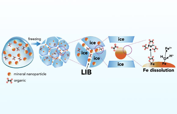 Ice Dissolves Iron Minerals More Effectively than Liquid Water: Study