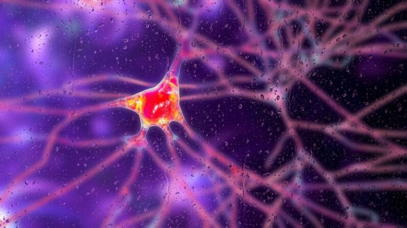 ‘Groundbreaking’ gene therapy is first treatment for Huntington’s disease to slow the condition