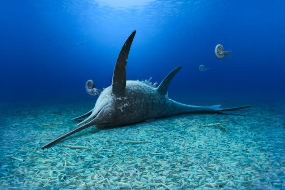 New Species of Ichthyosaur Discovered in Germany