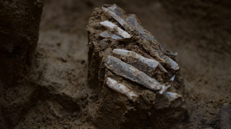 30,000-year-old ‘personal toolkit’ found in the Czech Republic provides ‘very rare’ glimpse into the life of a Stone Age hunter-gatherer