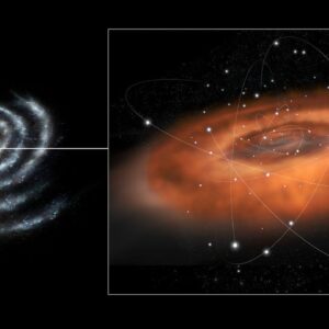 Stars that brush past black holes live longer, stranger lives after their close encounters with death