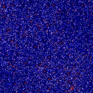 Infant Universe Was Warm, Rather than Cold, before It Lit Up, Astronomers Say
