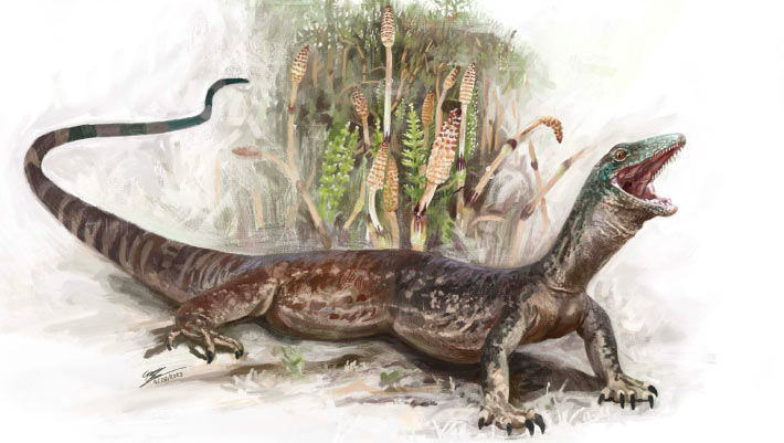 New Jurassic Lizard Species Has Confusing Set of Features Seen in Snakes and Geckos