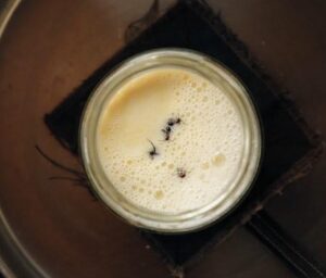 Anthropologists make ‘ant yogurt’ from centuries-old recipe, serve it as an ‘ant-wich’ at Michelin-star restaurant