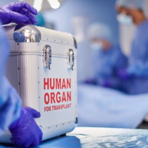 Scientists convert a kidney from blood type A to universal type O and implant it in a brain-dead recipient