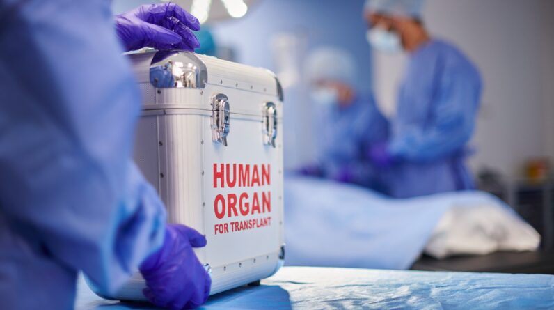 Scientists convert a kidney from blood type A to universal type O and implant it in a brain-dead recipient