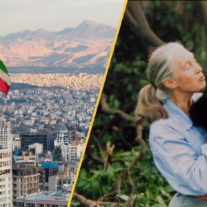 Science news this week: Famed primatologist Jane Goodall dies, Iran sinks at an alarming rate, and scientists create human egg cells from skin