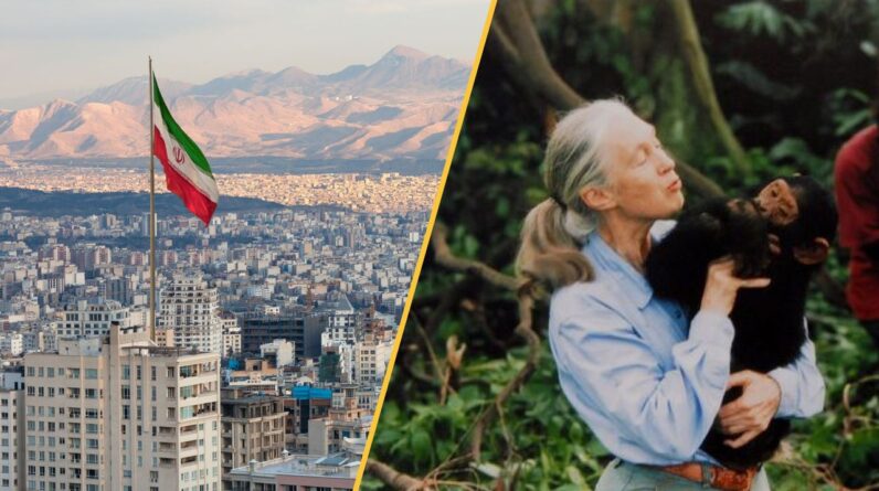 Science news this week: Famed primatologist Jane Goodall dies, Iran sinks at an alarming rate, and scientists create human egg cells from skin