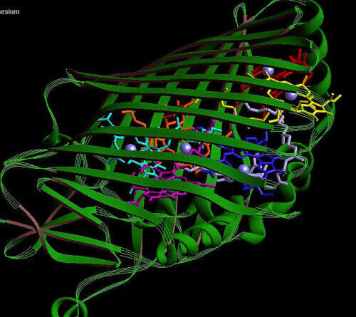 A biological 0-day? Threat-screening tools may miss AI-designed proteins.