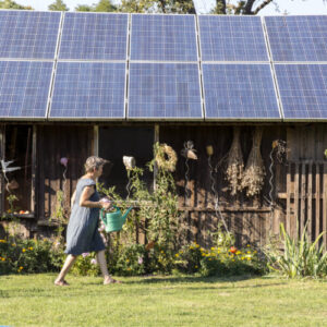 Trump’s EPA sued for axing $7 billion solar energy program