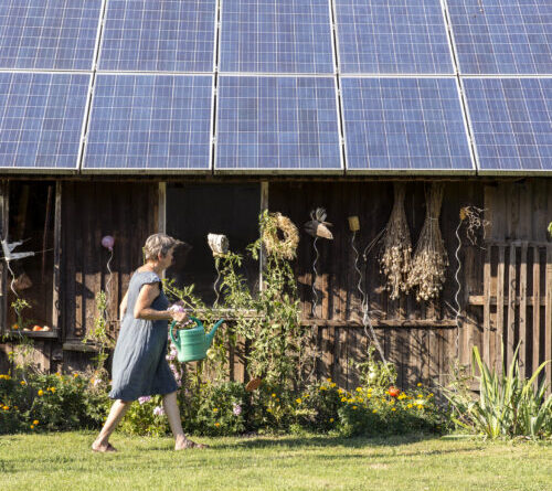 Trump’s EPA sued for axing $7 billion solar energy program