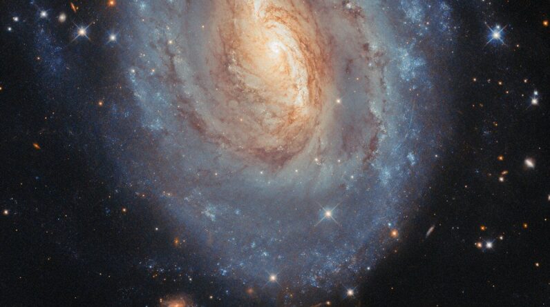 Hubble went supernova hunting — and found something unexpected: Space photo of the week